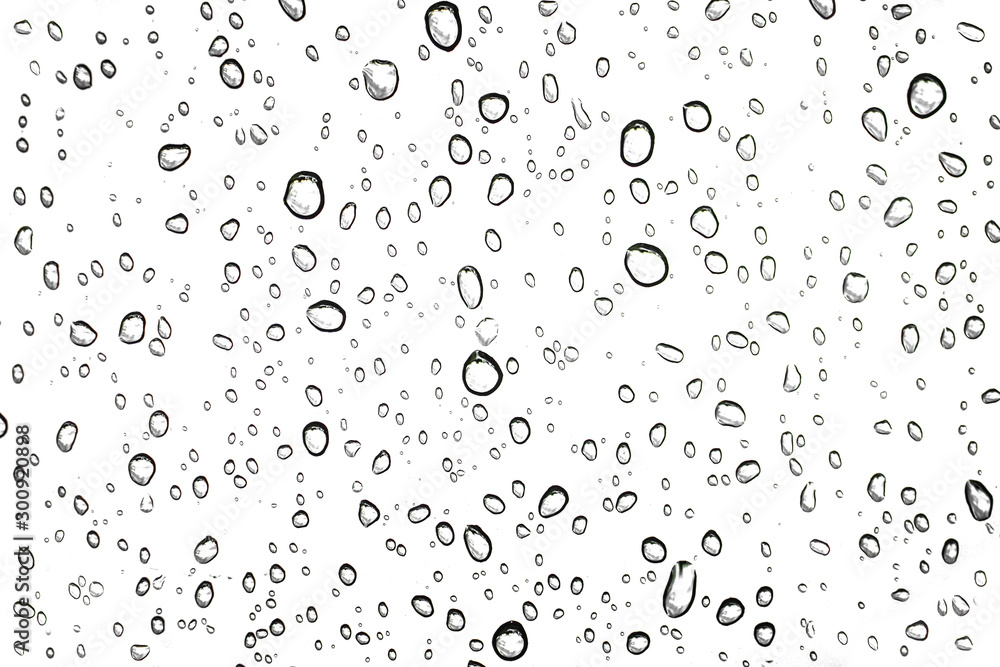 Water rain drops or water drops on white background