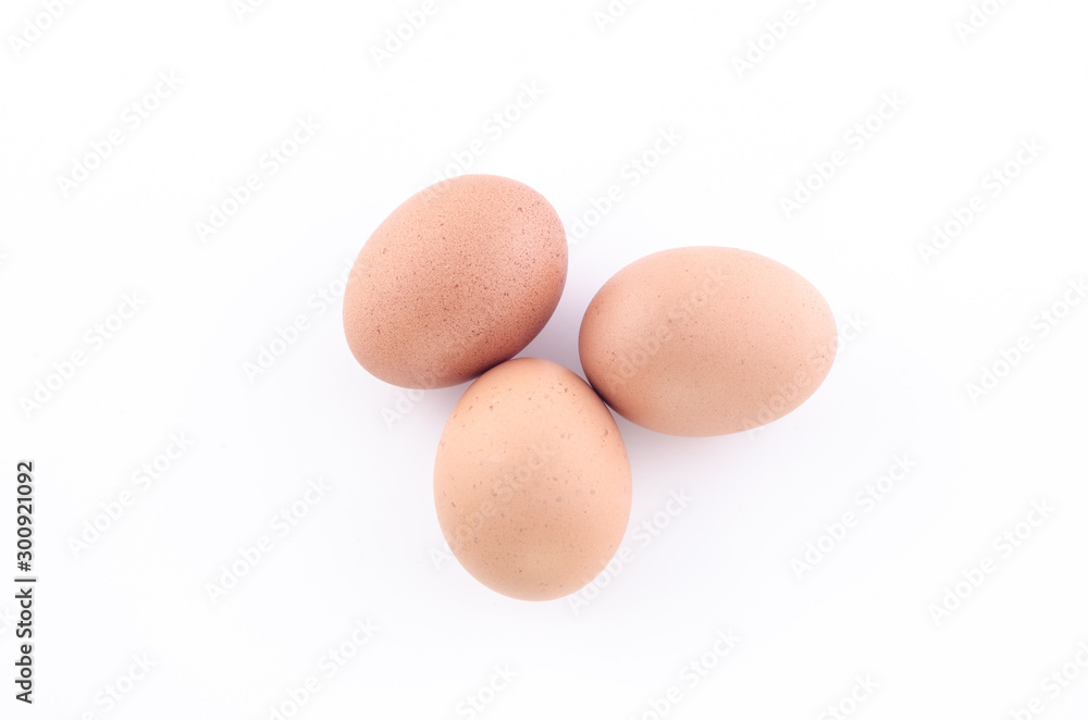 egg on a white background. egg on a white background.