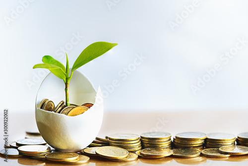 Hatched egg and coins with small plant tree. Pension fund, 401K, Strategies and plan for passive income. Saving money and investment. Risk management for business growth. Manage money in retirement. photo