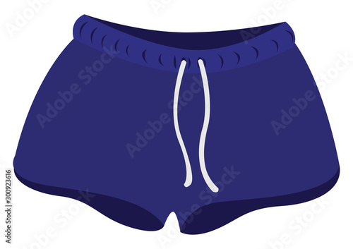 Blue shorts, illustration, vector on white background.
