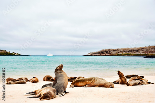 Galapagos, Ecuador