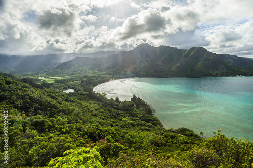 Turquoise green sea at the coast to the tropical forest on Hawaii