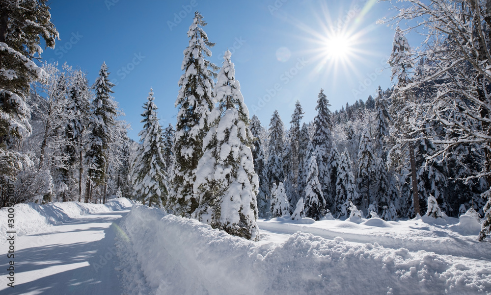 Obraz premium hiking way through beautiful snowy winter forest near Kreuth, bavaria