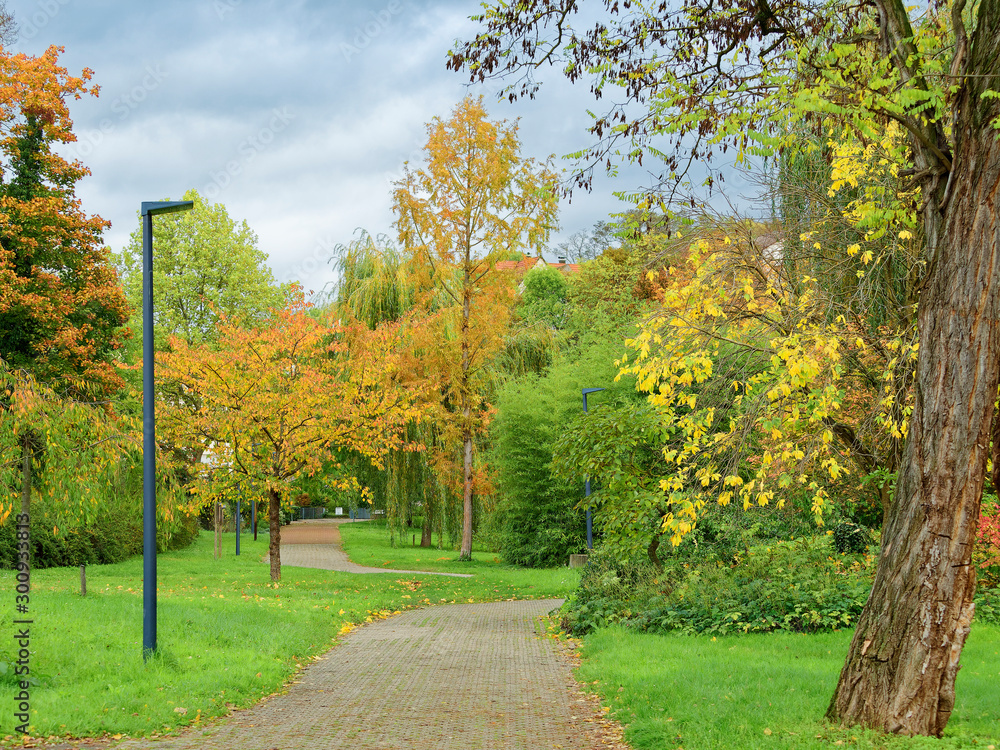 Naklejka premium Herbstlandschaft im Margräflerland Südschwarzwald. Bad Bellingen. Wundervolle Parkatmosphäre zu genießen in Botanischer Garten und Kurpark