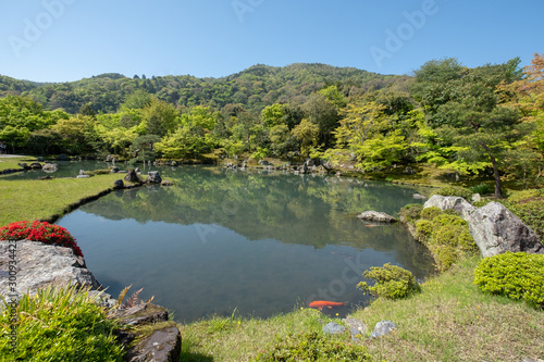 Peaceful Japanese Zen Garden with Pond, Rocks, Gravel and Moss Kyoto Japan