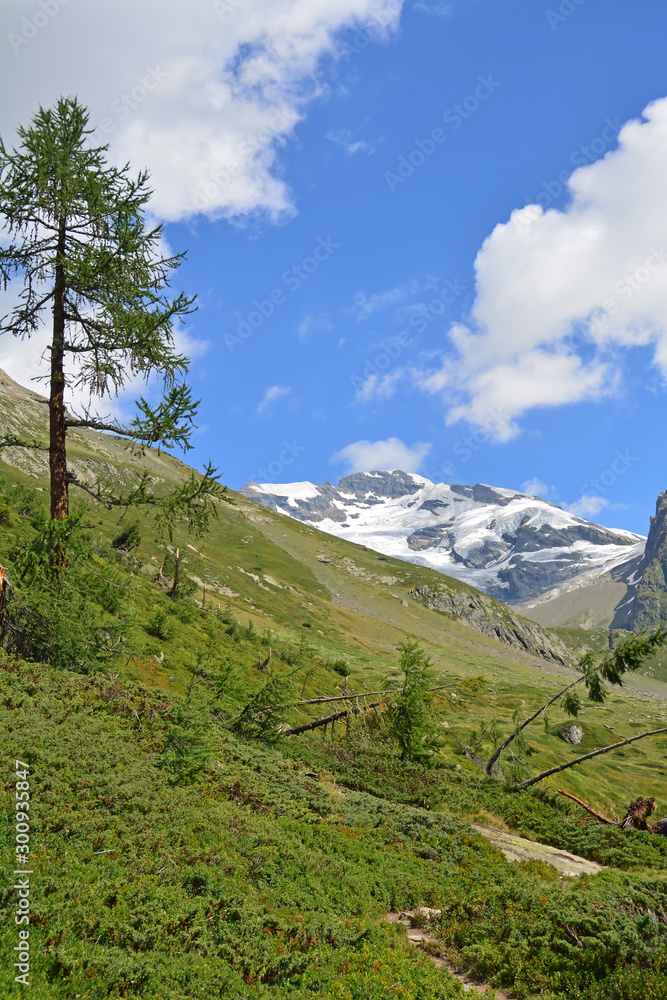 Breithorn in Bernese Alps