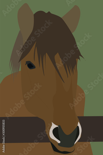 Horses head, illustration, vector on white background.