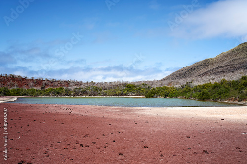 Galapagos,  Isola Rabida, Ecuador