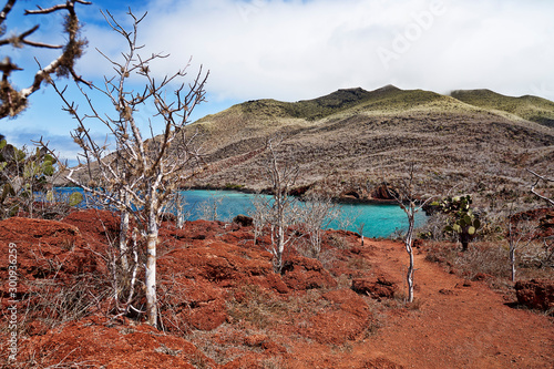 Galapagos,  Isola Rabida, Ecuador