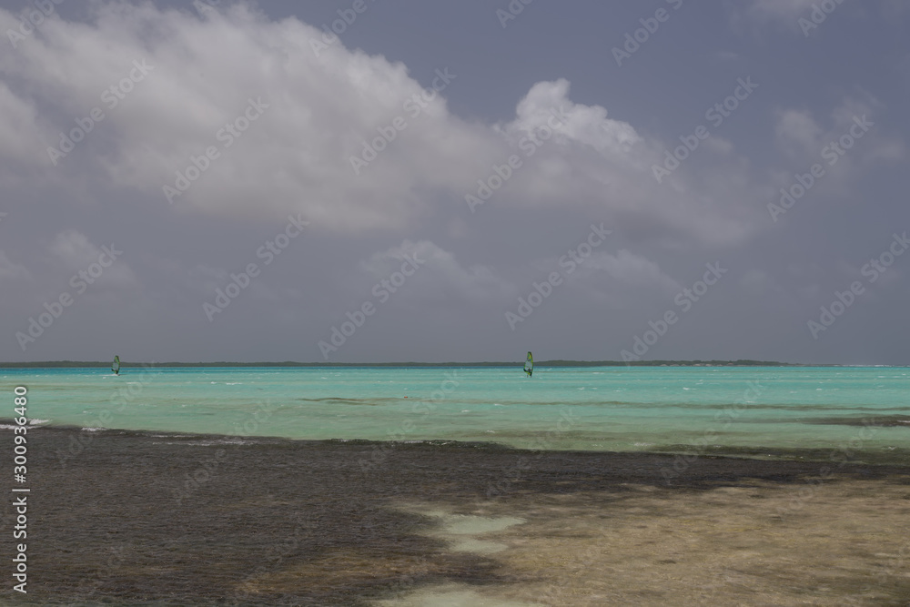 sea beach coast tropical Bonaire island Caribbean sea sea beach coast tropical Bonaire island Caribbean sea