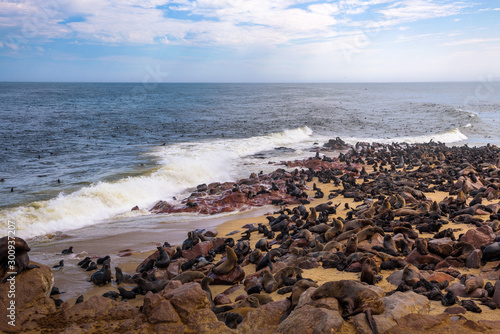 Seal fur colony at Cape Cross Seal Reserve, Namibia.