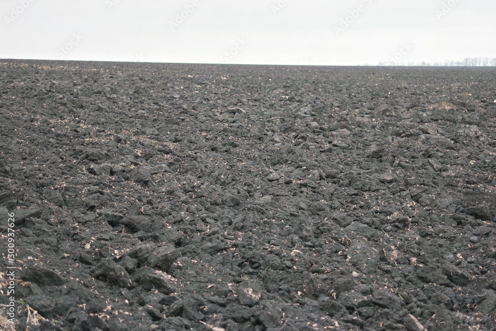 plowed field of black soil of Ukraine in autumn plowed field of black soil of Ukraine in autumn