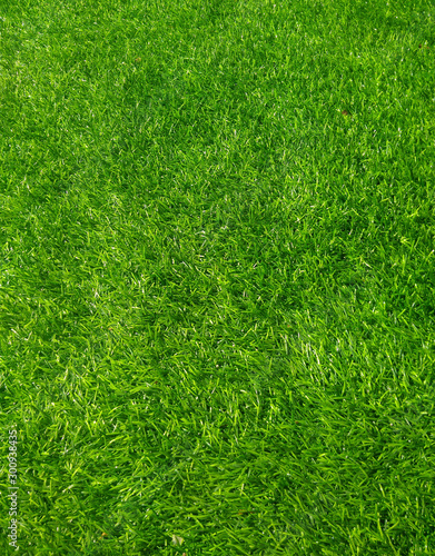 background of green grass