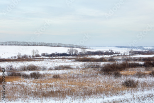 Winter landscape. Cold day.