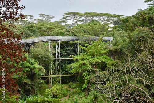 Photography metal bridge on the Southern Ridges trail in Singapore