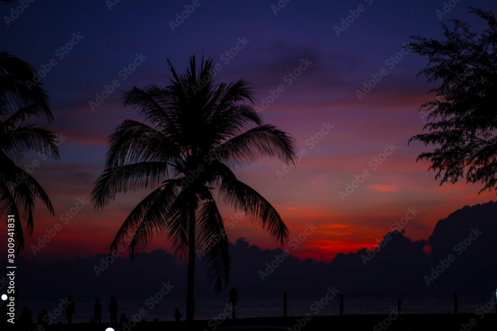 Naklejka premium sunset on the beach