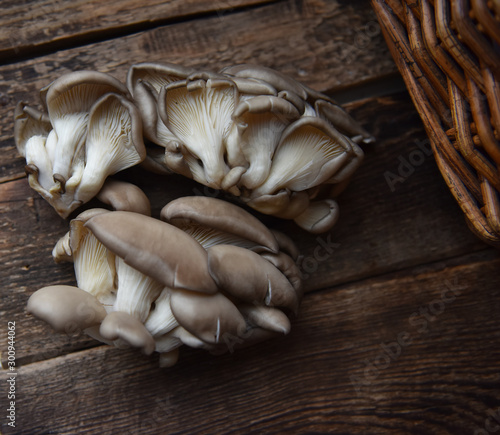 oyster mushroom on a wooden table © orlovphoto