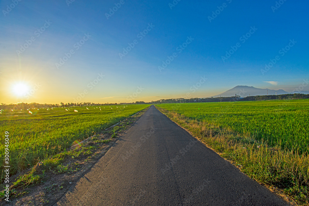 Naklejka premium Street view straight with sunset