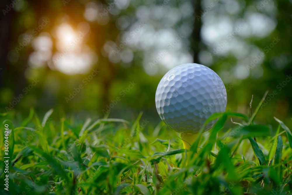 Golf ball on tee in beautiful golf course Golf ball on tee in beautiful golf course