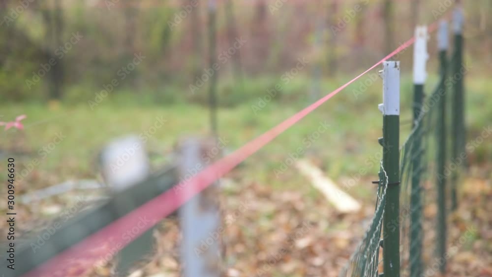 Depth of Field Focus Change Close to Far Along Fence 30fps Depth of Field Focus Change Close to Far Along Fence 30fps