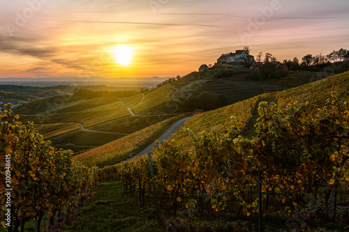 Castle Staufenberg in Durbach Germany in the Black Forest Mountains with a vineyard during sunset at golden hour	 photo