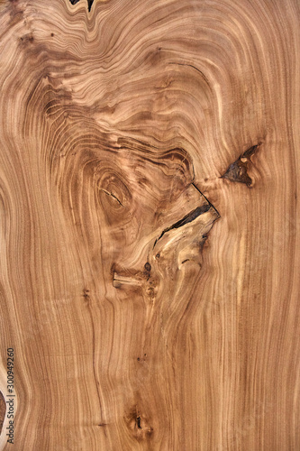 Live edge elm slab with a beautiful wood texture