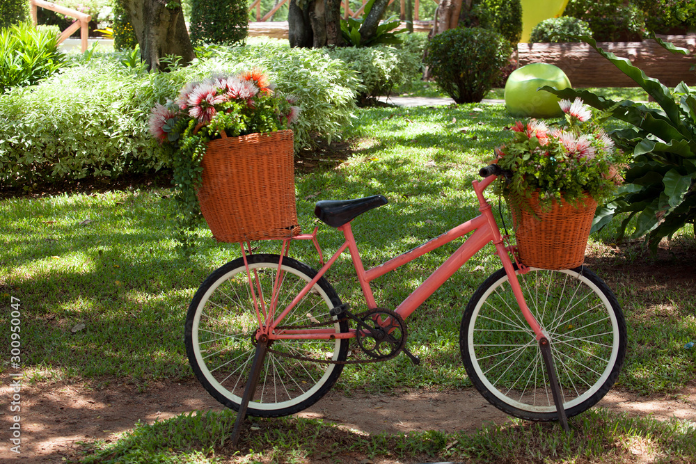 Bicycles decorated with flowers in the garden