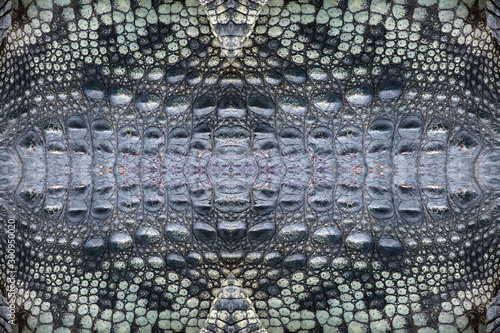 Crocodile skin pattern abstract background.