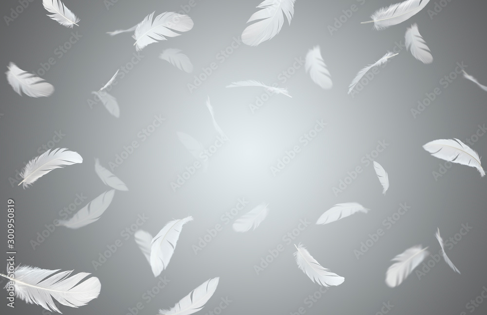 Soft white feathers floating in the air, Feathers abstract background Soft white feathers floating in the air, Feathers abstract background