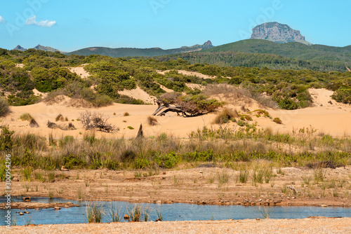 Fototapeta Naklejka Na Ścianę i Meble -  Sardegna, veduta delle dune di Piscinas e Costa Verde, Arbus, Italia