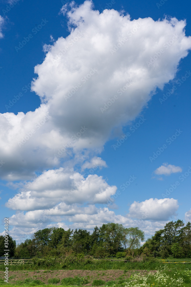 White Cloud Formations and blue sky in Summer. White Cloud Formations and blue sky in Summer.