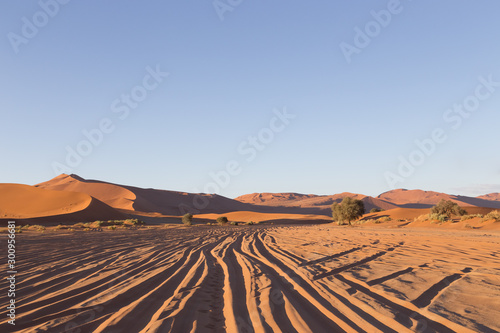 Tyre tracks through sand in Namib Desert at sossusvlei