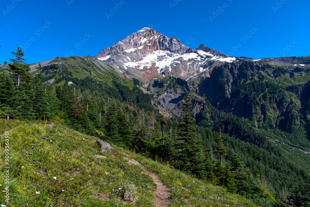 A summer time view of Mt. Hood and the Sandy glacier from the Timberline Trail. A beautiful sunny day to be out on the trail in the wilderness.