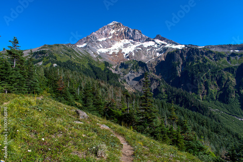 A summer time view of Mt. Hood and the Sandy glacier from the Timberline Trail. A beautiful sunny day to be out on the trail in the wilderness.