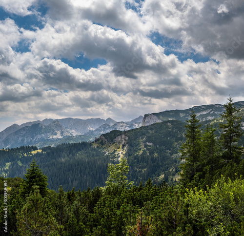 Summer Tara Canyon in mountain Durmitor National Park  Montenegro