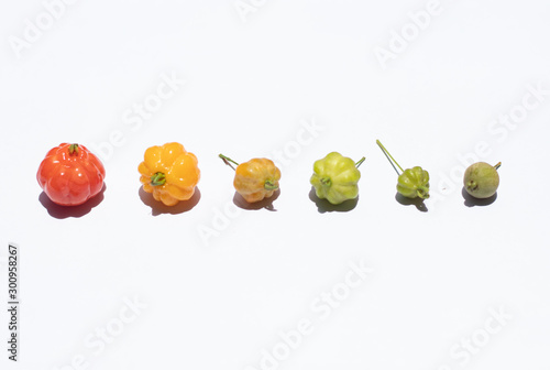 The growth of the pitanga fruit, also known as suriname cherry and cayenne cherry. Isolated on white back ground. photo