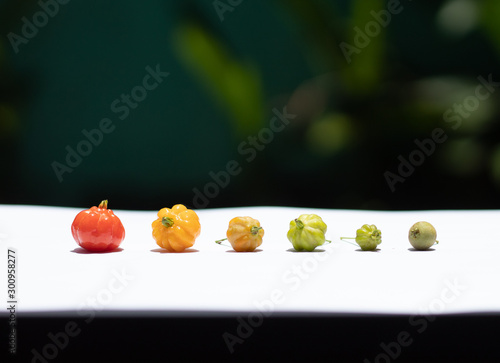 The growth of the pitanga fruit, also known as suriname cherry and cayenne cherry. Isolated on white back ground.