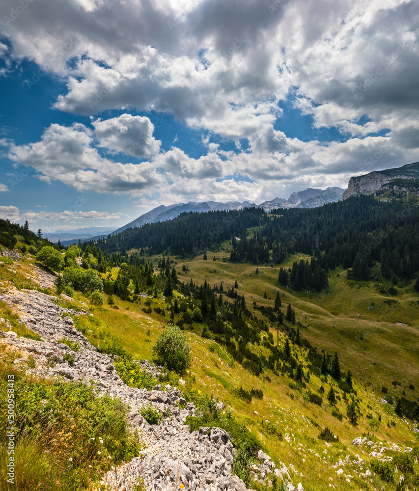 Summer mountain Durmitor National Park, Montenegro