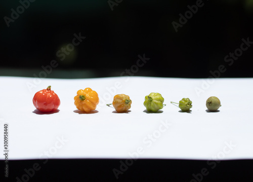 The growth of the pitanga fruit, also known as suriname cherry and cayenne cherry. Isolated on white back ground.