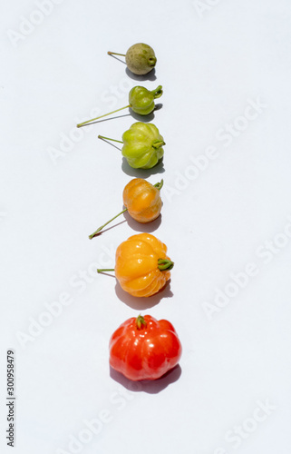 The growth of the pitanga fruit, also known as suriname cherry and cayenne cherry. Isolated on white back ground.