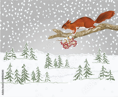 Winter landscape forest with snow and squirrel on an old tree natural rodent christmas theme natural background vintage vector illustration editable hand draw