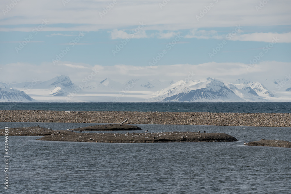 Arctic snow cowered mountains with a bird colony in front in Svalbard