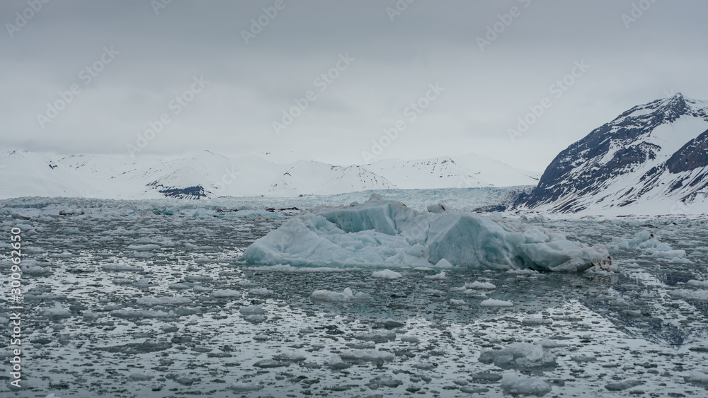 Ice in an arctic fjord in Svalbard with mountains and a glacier in the background