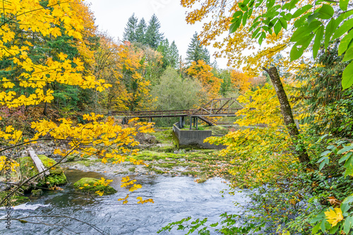 Tumwater Falls Park Autumn Bridge photo