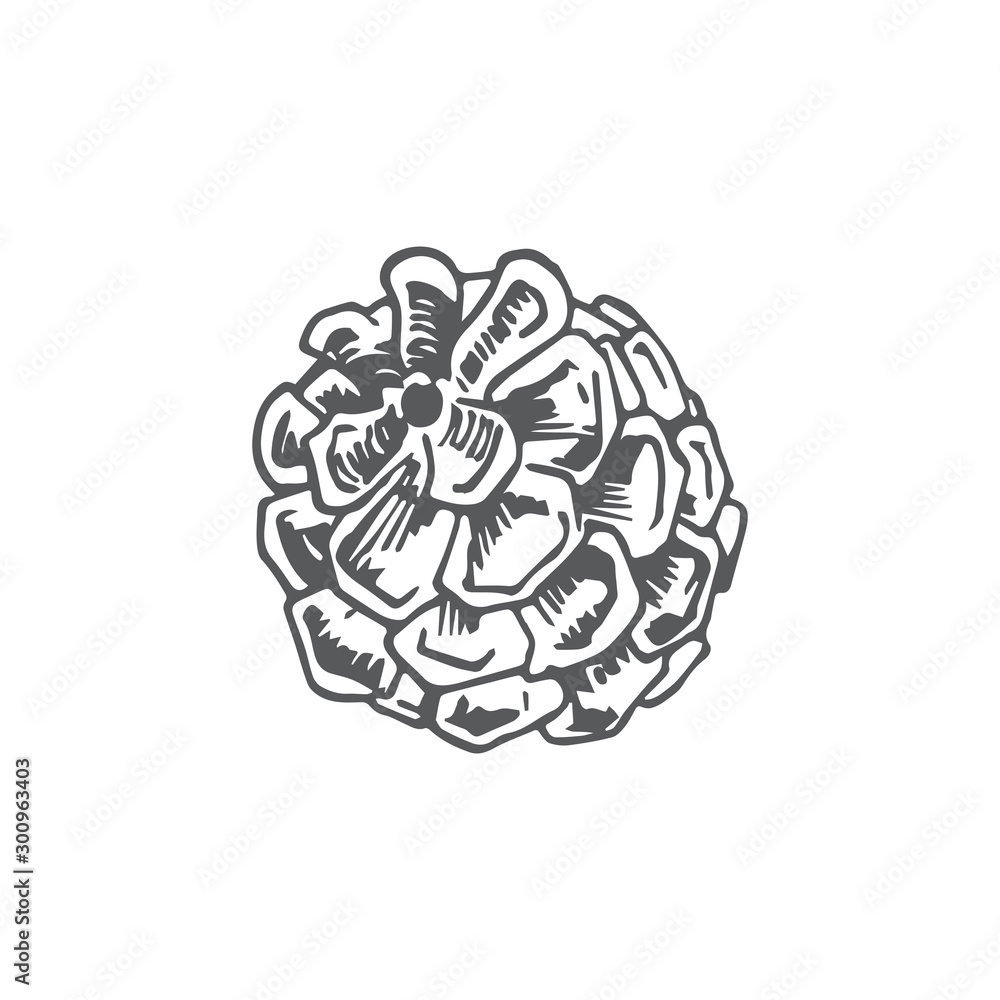 Hand Drawn Christmas Round Strobile Vector Illustration. Abstract Rustic Sketch. Winter Holiday Engraving Style Drawing. Hand Drawn Christmas Round Strobile Vector Illustration. Abstract Rustic Sketch. Winter Holiday Engraving Style Drawing.