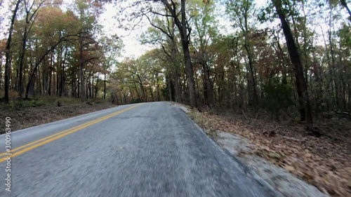 Wallpaper Mural Driving on paved road through beautiful fall forest in midwest Torontodigital.ca