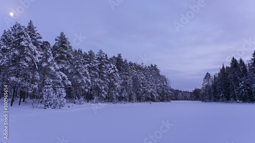 Snowy lake in a winter forest in the moonlight in Lempäälä, Finland
