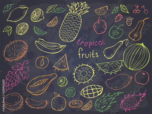 Set of tropical doodles fruits on chalkboard. Vector illustration. Perfect for greeting card, banner, postcard, print.