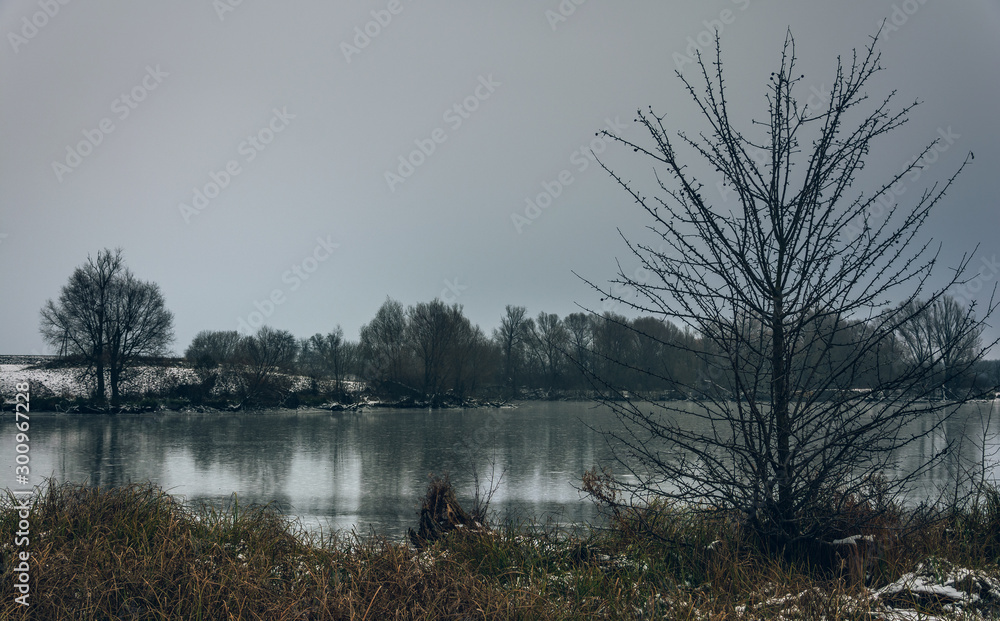 Fototapeta premium Winter landscape and nature