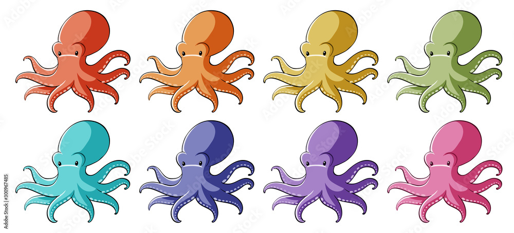 Fototapeta premium Octopus in different colors